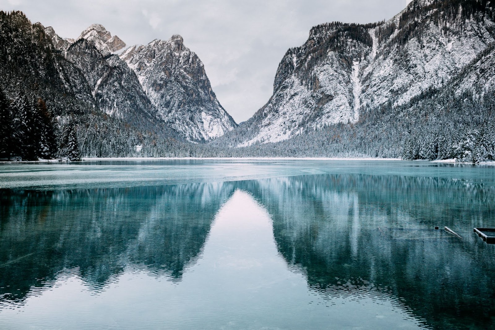 A landscape featuring snow-dusted grey mountains reflecting in a blue lake, with snow-covered pine trees in front of the mountain range.